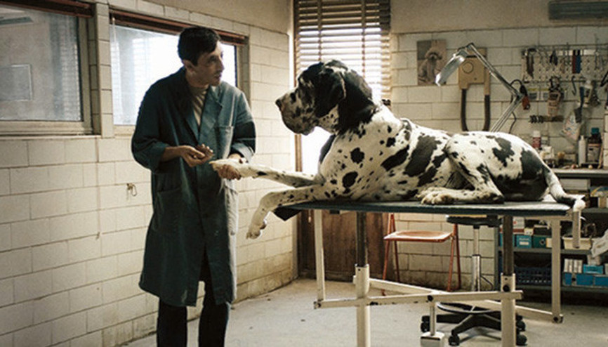 ‘Filmekimi’nde kaçırılmaması gereken  10 film