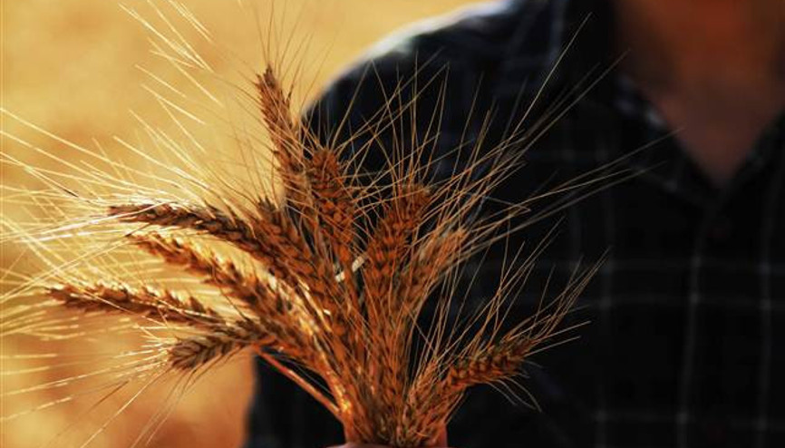 Türkiye ile Rusya arasında bir ilk