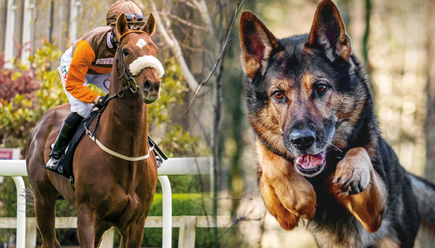 4 Ekim tatil olsun, çalışmasınlar