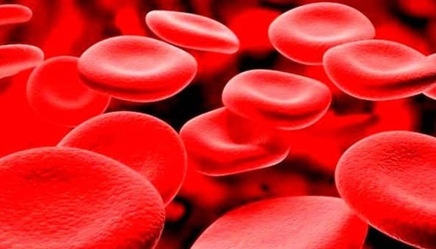 Akdeniz anemisi nedir