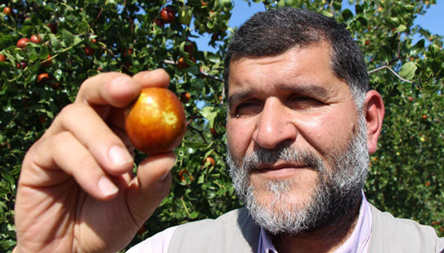 Rüyasında gördü, 6 yılda diktiği 13 bin fide ile siparişlere yetişemiyor