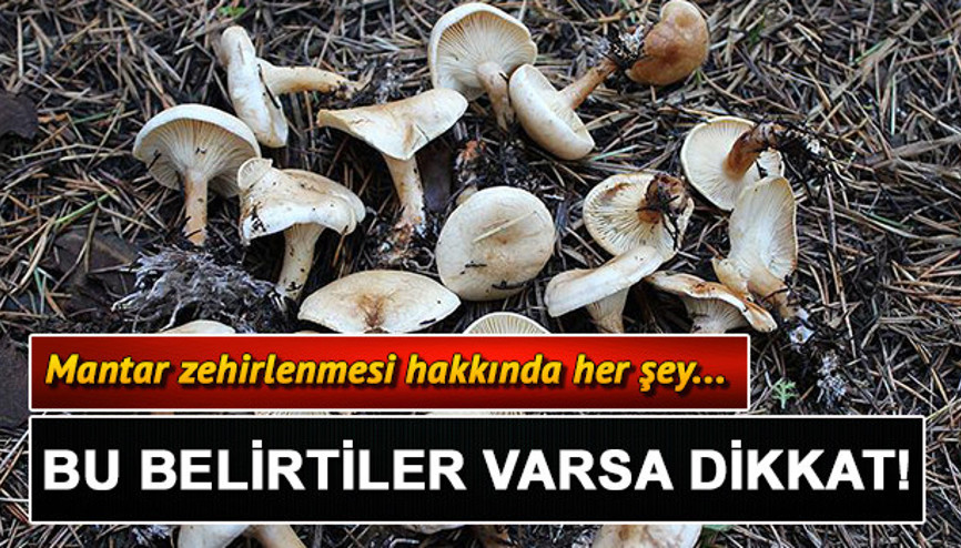 Mantar zehirlenmesi nasıl anlaşılır Mantar zehirlenmesi belirtileri