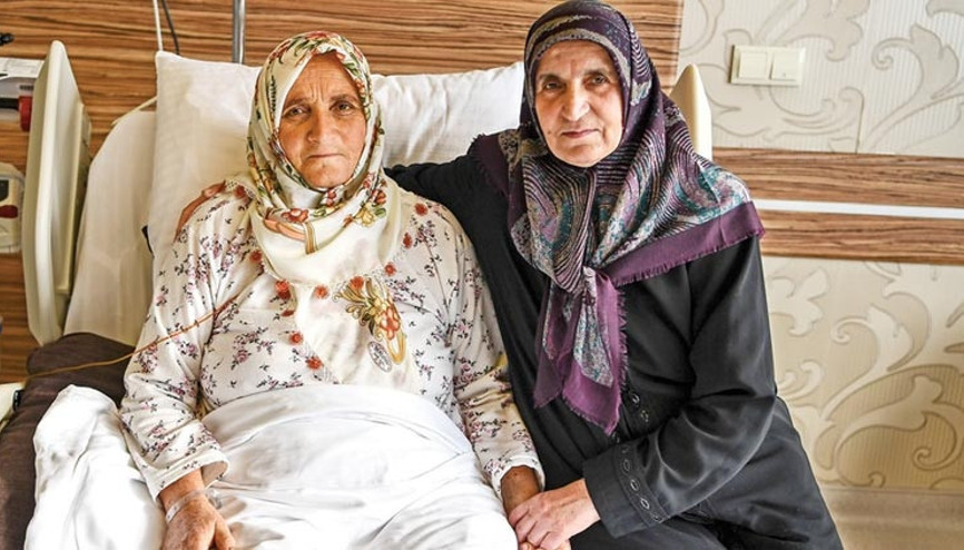 Aslında bildik mantarlardı