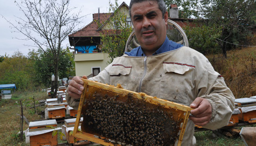 Anzer balı ile yarışacak:125 liraya satışta