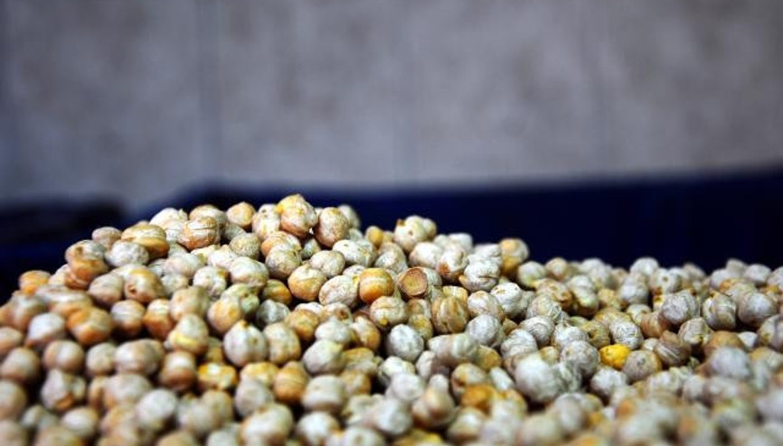 Türkiye leblebisi dünya pazarında