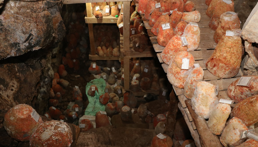 5 ay burada bekletiliyor Tescillendi... Türkiyenin yeni lezzeti