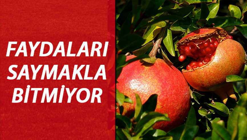 Nar faydaları nelerdir Nar neye iyi gelir