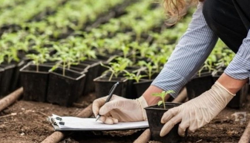 Bitkisel üretimde zararlılarla mücadele destekleri artırıldı