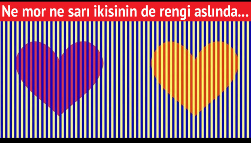 Kalpleri mor ve sarı görüyorsanız dikkat İkisinin de rengi aslında...