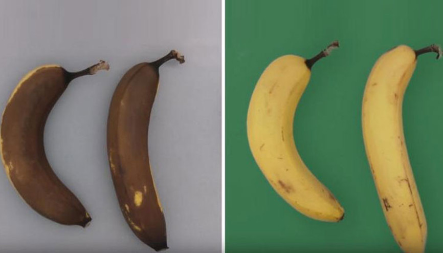 Renksiz, kokusuz ve sebze meyvelerin ömrünü iki katına çıkarıyor