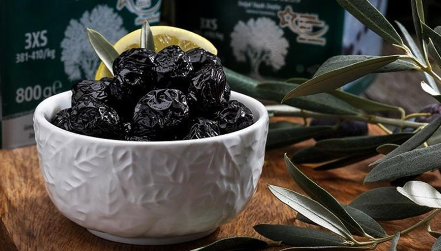 Marmarabirlik zeytin alımında rekor kıracak