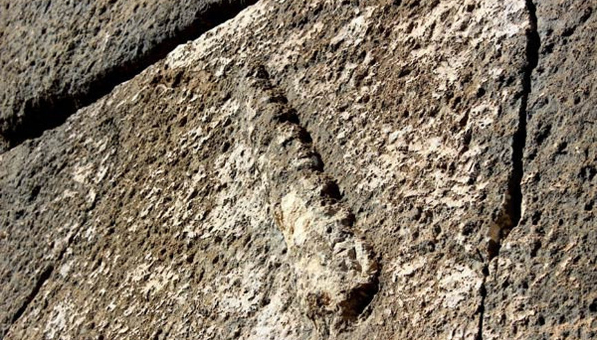 Adıyamanda Herkül heyecanı Adıyamanda Herkül heyecanı