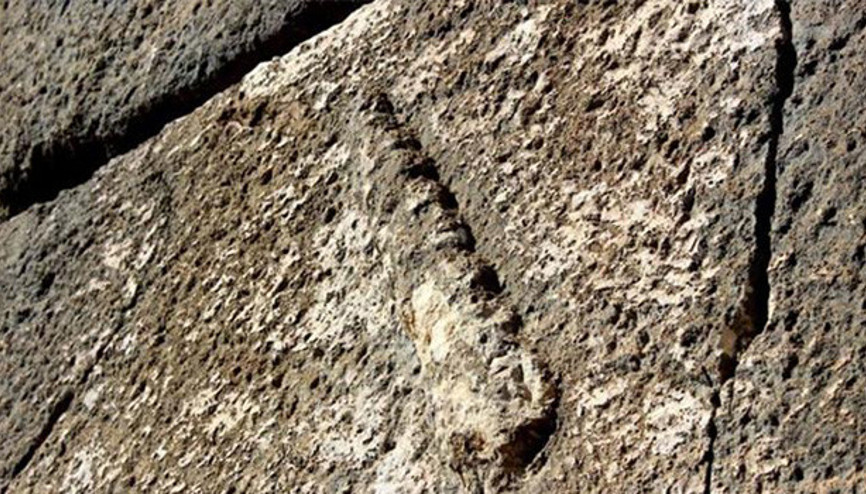 Adıyamanda Herkül heyecanı Adıyamanda Herkül heyecanı