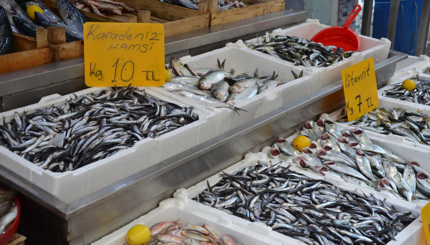 Karadeniz hamsisi tezgahlarda