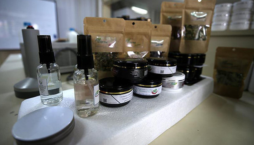 Çiftçilerin bilim mesaisi meyvelerini vermeye başladı