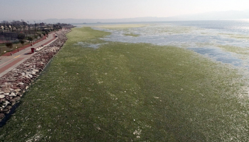 İzmir Körfezi’ndeki ürküten görüntüde son durum