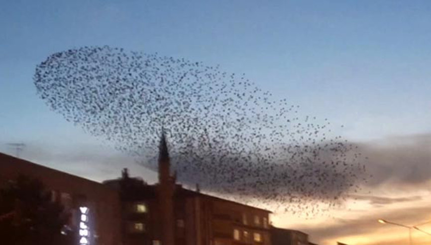 Bir anda gökyüzünde belirdiler Bakan gözlerini ayıramadı
