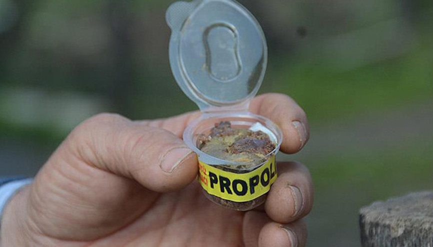 Propolis nedir Propolisin faydaları neler Propolis nedir Propolisin faydaları neler