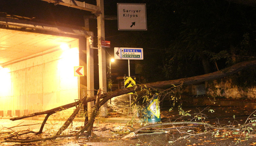 Sarıyerde ağaç devrildi, yol kapandı