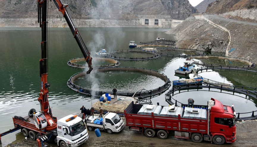 Toruldan ABDye uzanan ihracat başarısı