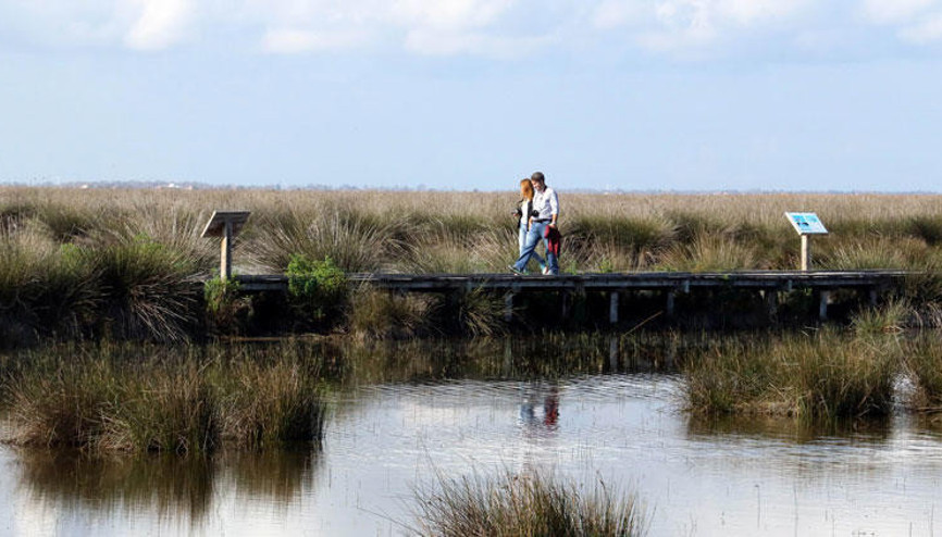 Kızılırmak Deltası Kuş Cennetine giriş ücretli oluyor
