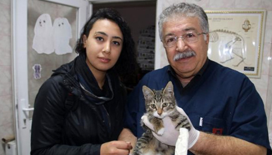 Üniversite öğrencisi yaralı kediyi veterinere götürüp sahiplendi