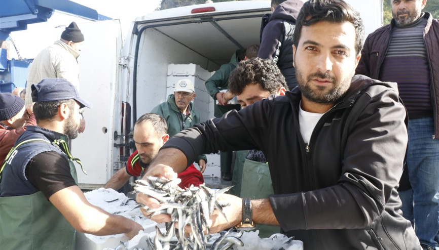 Zonguldak’ta hamsi bereketi