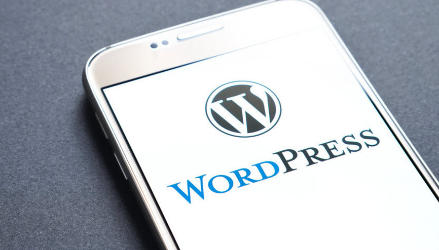 Wordpresste korkutan güvenlik açığı
