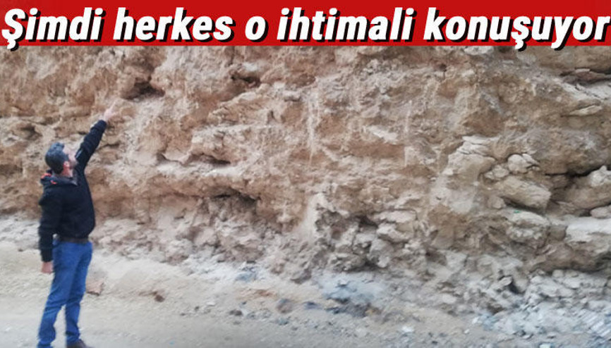 Mardin’de dinozor fosili iddiası heyecan yarattı