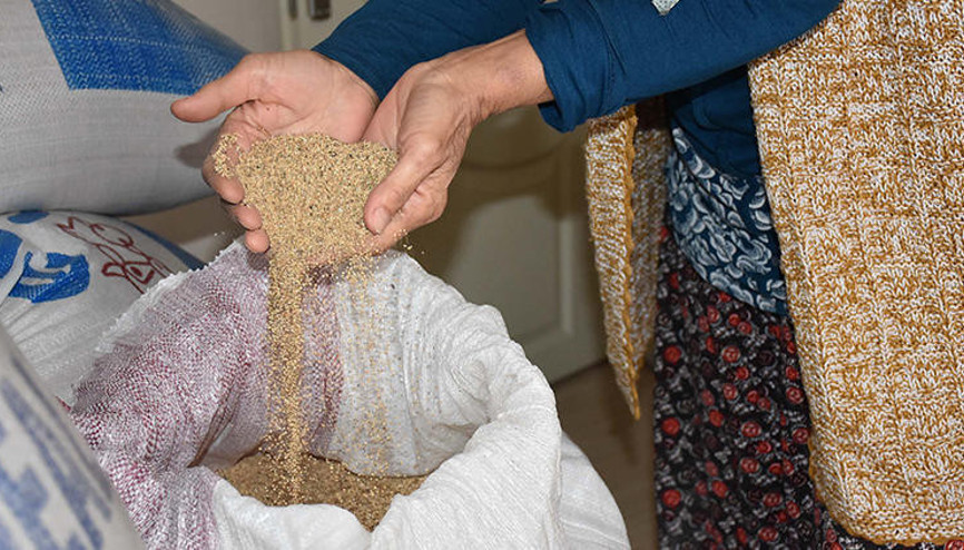 Kredi çekerek ’kinoa’ üretti elinde kaldı