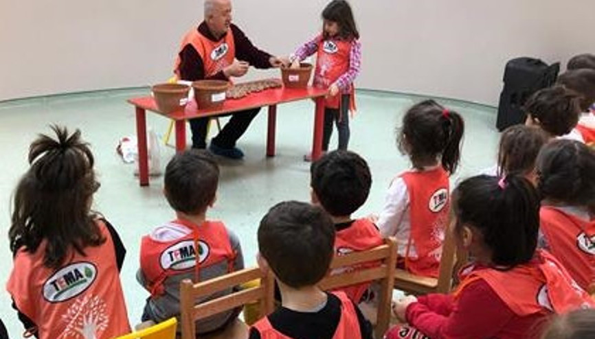 Meşe palamudu fidana dönüşecek