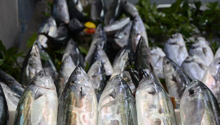 Balık çoğalınca balıkhane müşteri akınına uğradı