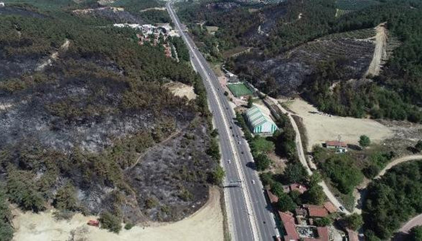 Bursa’da yanan 36 hektar alan ağaçlandırılacak, ilk fidanı Bakan Pakdemirli dikecek