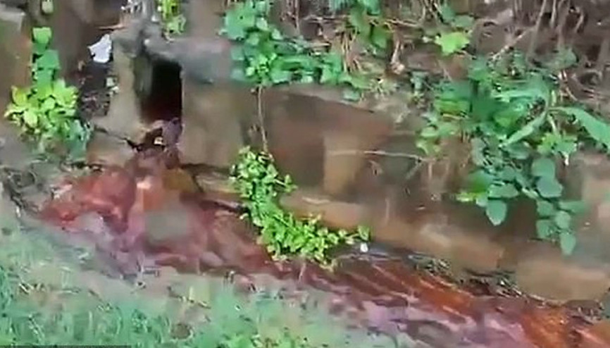 Gizli servis çalışanları infaz iddiasını doğruladı