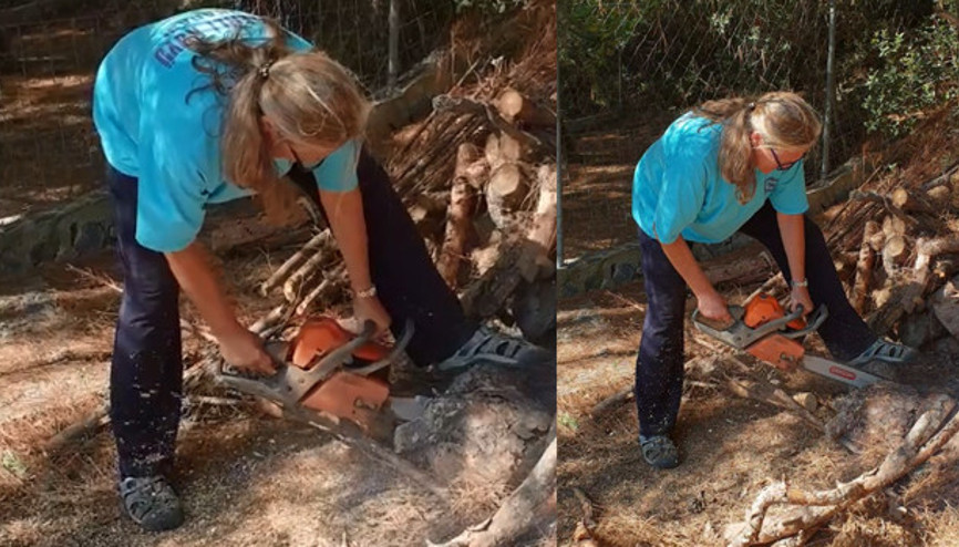 Testereyle odun kesen taçlı güzel: Azla yetinmek lazım, artık hayat böyle