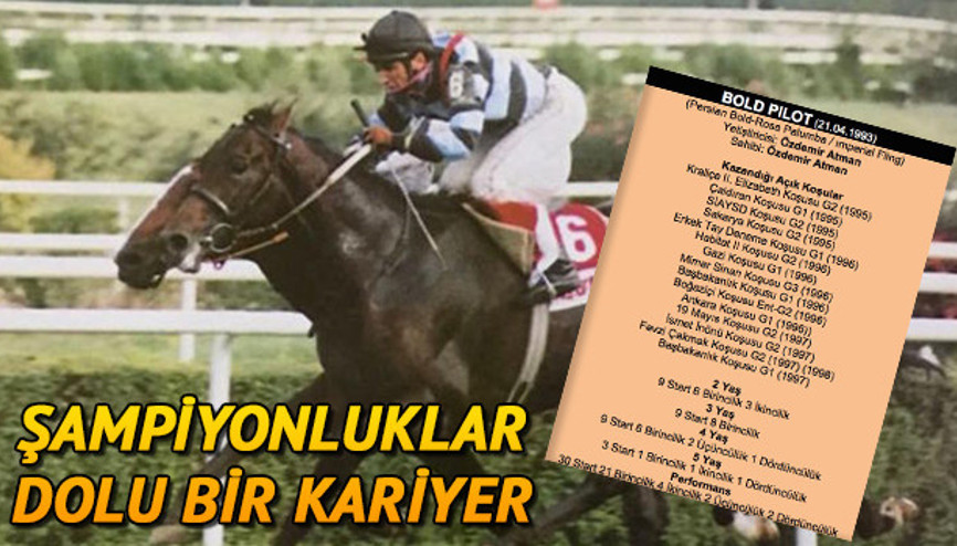 Bold Pilot hakkında merak edilenler | Bold Pilotun hikayesi