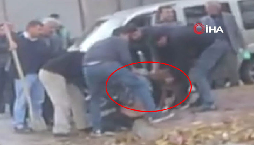 Pitbul dehşeti ‘Ağabey, Allahınızı severseniz bırakmayın...’