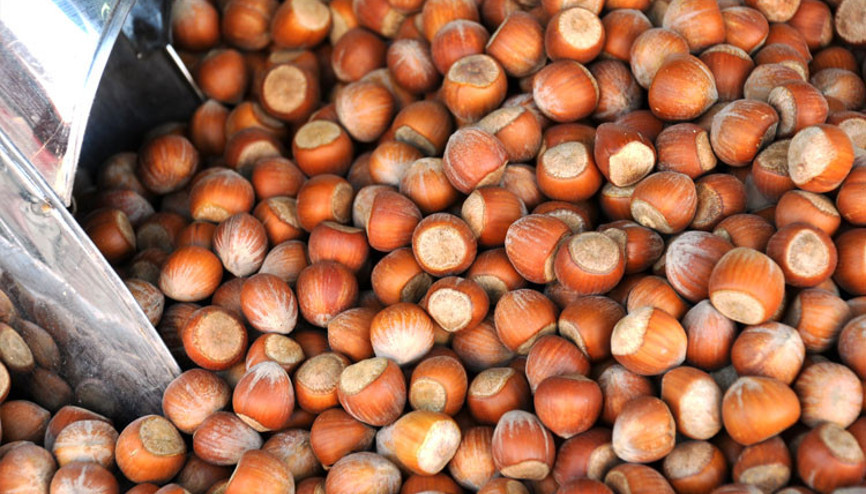 Yerli malı yurdun malı... İşte yurdumuzun dört köşesinden en güzel lezzetler