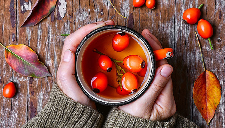 Kuşburnu çayı nasıl yapılır