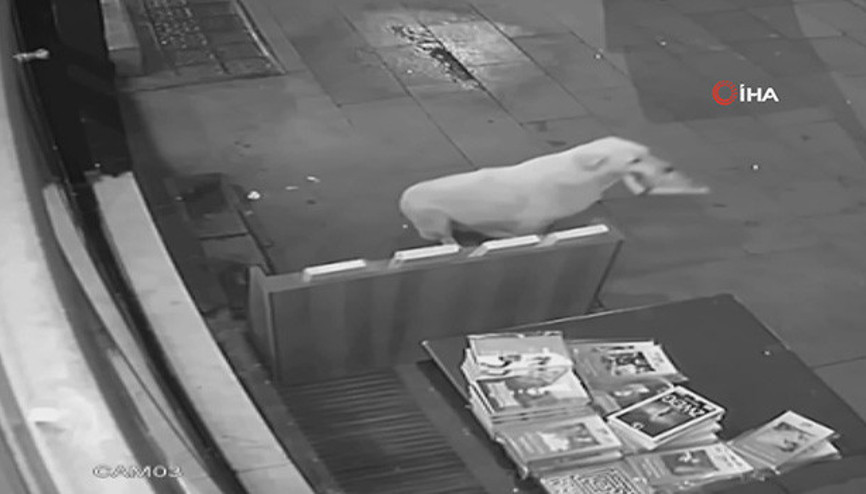 Kitabı önce aldı sonra geri getirdi...  Gandaf döneri kaptı