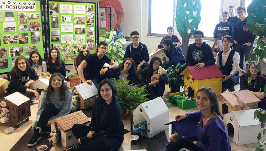 Sokak kedileri ev sahibi oldu