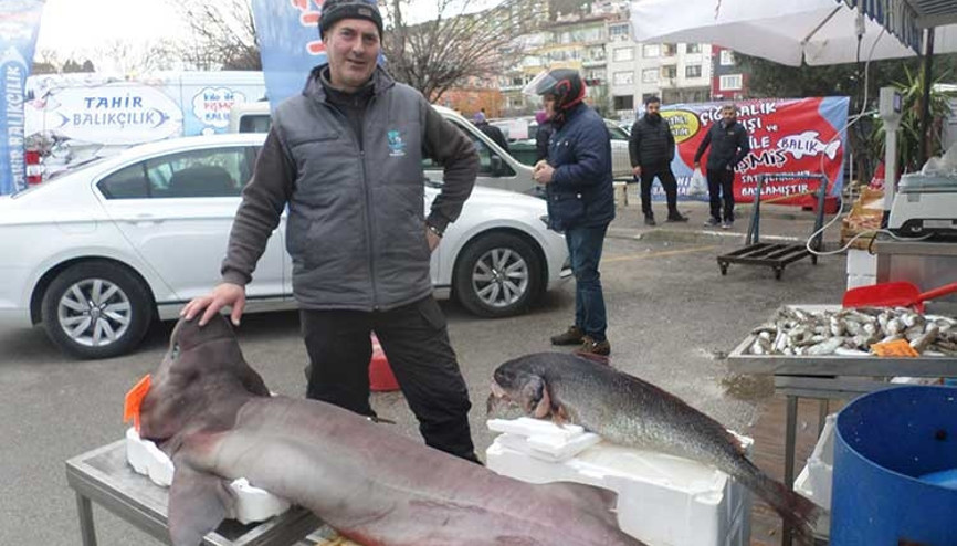 Marmarada yakalandı Kilosu 25 TL