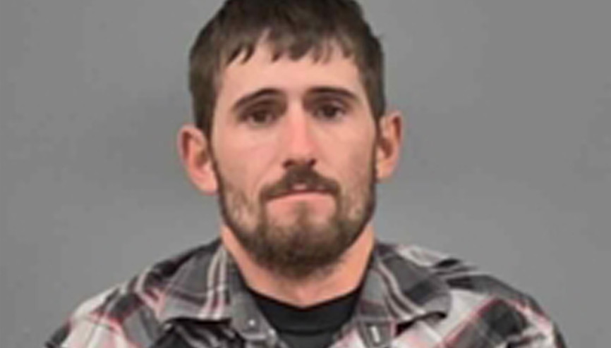 Yasa dışı ava Bambi izleme cezası