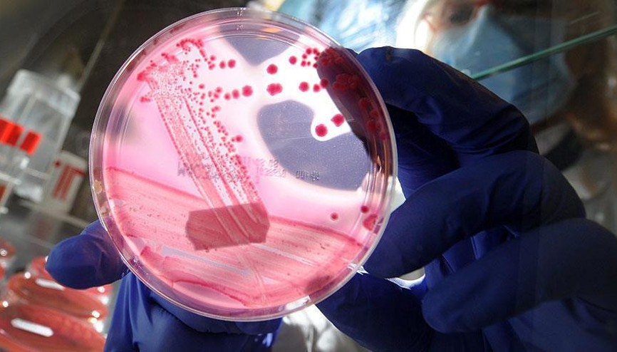 Pankreas nedir İşte pankreas kanseri hakkında bilgiler