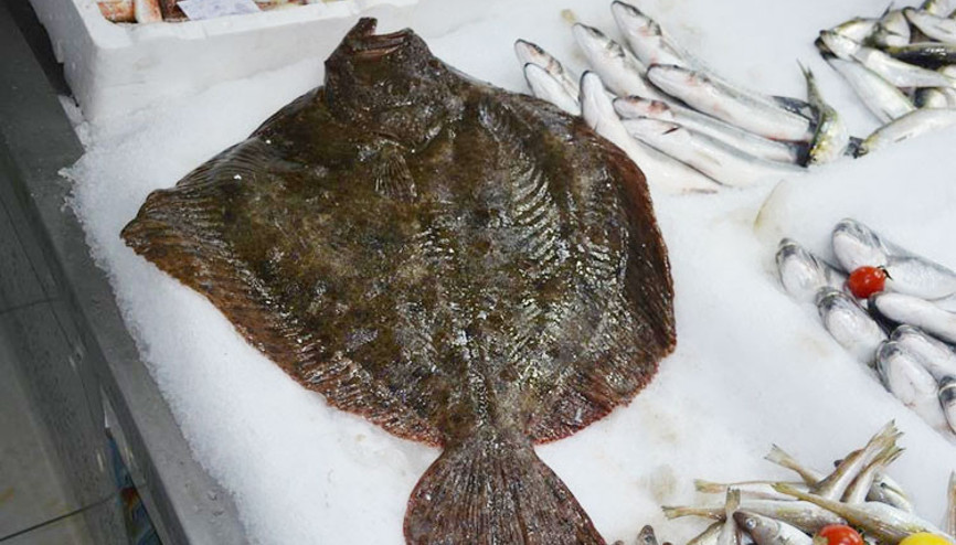 Fiyatı dudak uçuklatıyor: 7 kilo kalkan 875 lira