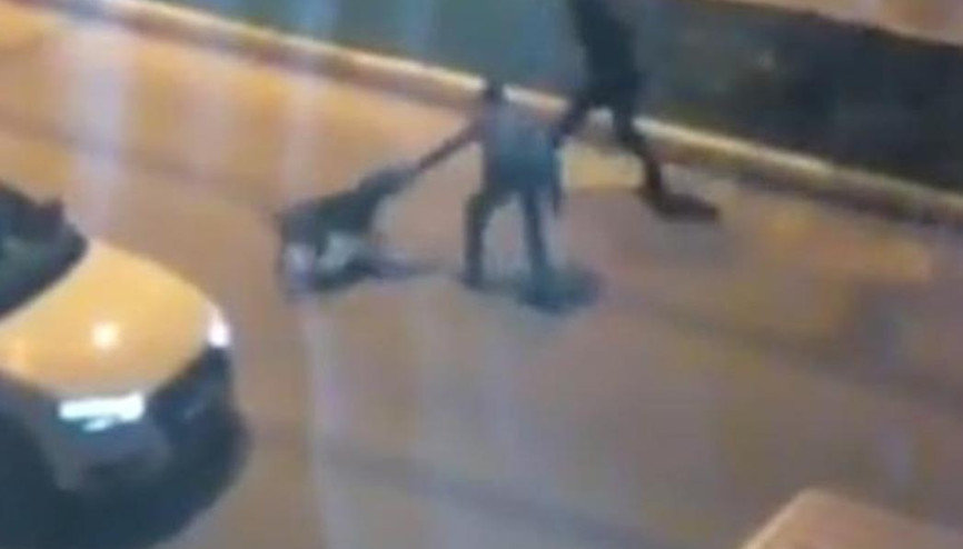 Sokak köpeklerine kemerle işkence uyguladılar