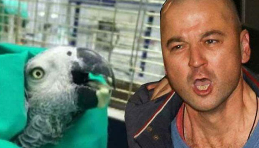 Emel Müftüoğlu: İkisine de çok üzülüyorum