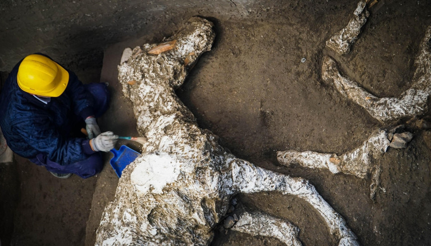 Pompeiide taşlaşmış at bulundu