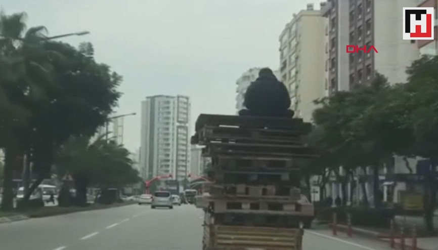 Triportörle tehlikeli yolculuk