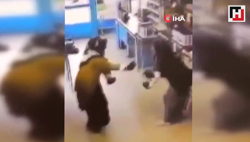 Boksör teyzeler kamerada